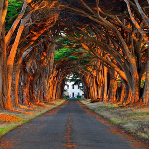 大鸡吧好舒服视频
